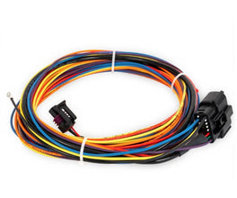 Accuair Air Management kit (No Tanks, No Compressors)